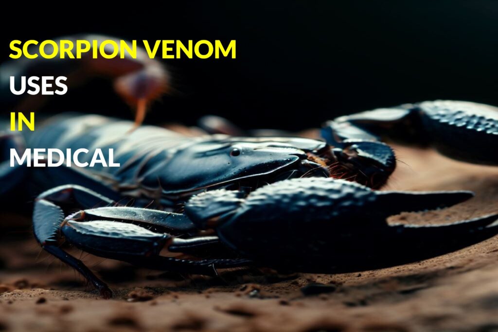 scorpion venom uses
